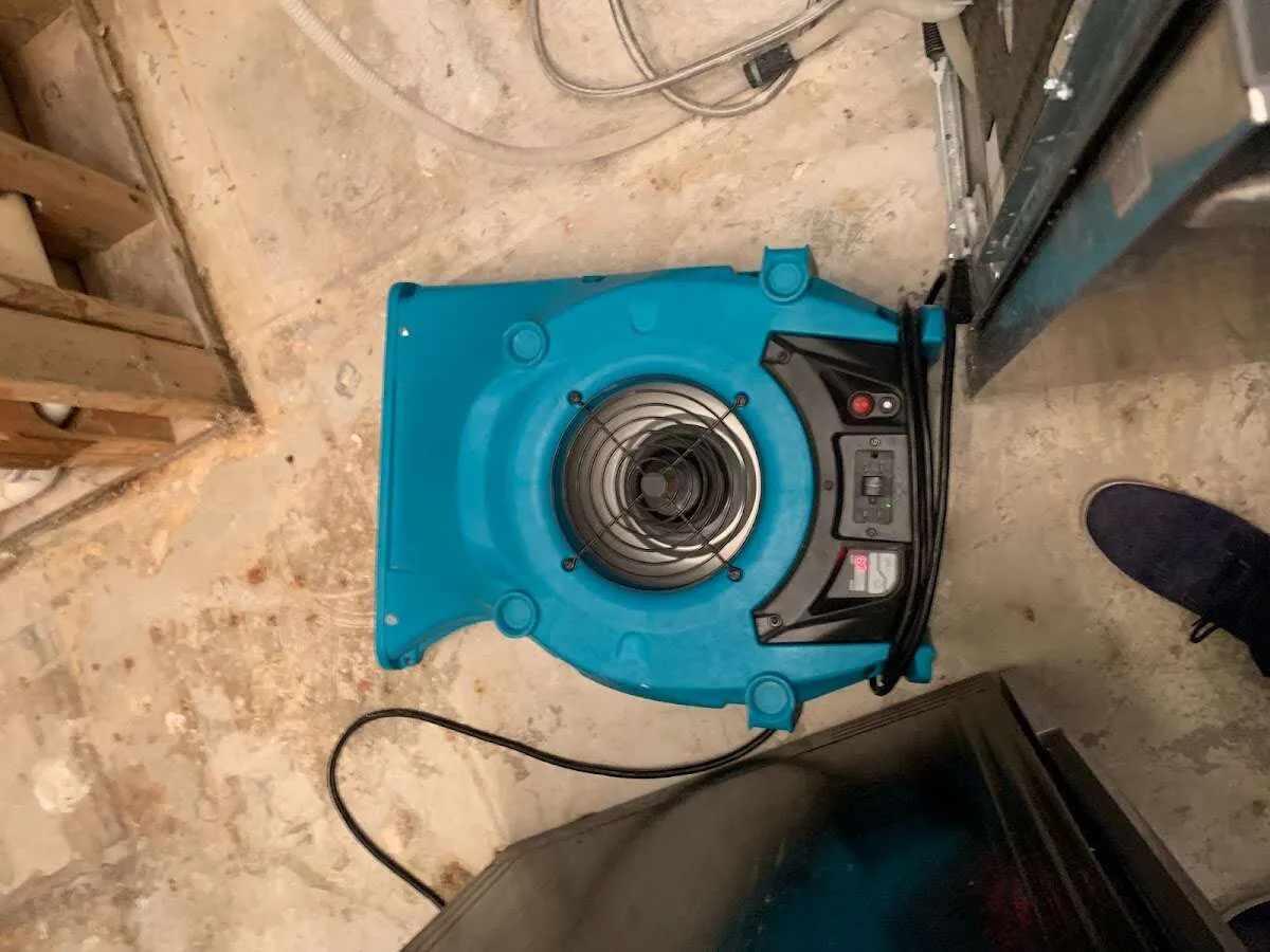 Air mover drying equipment for Mold Remediation & Removal in Robertsdale
